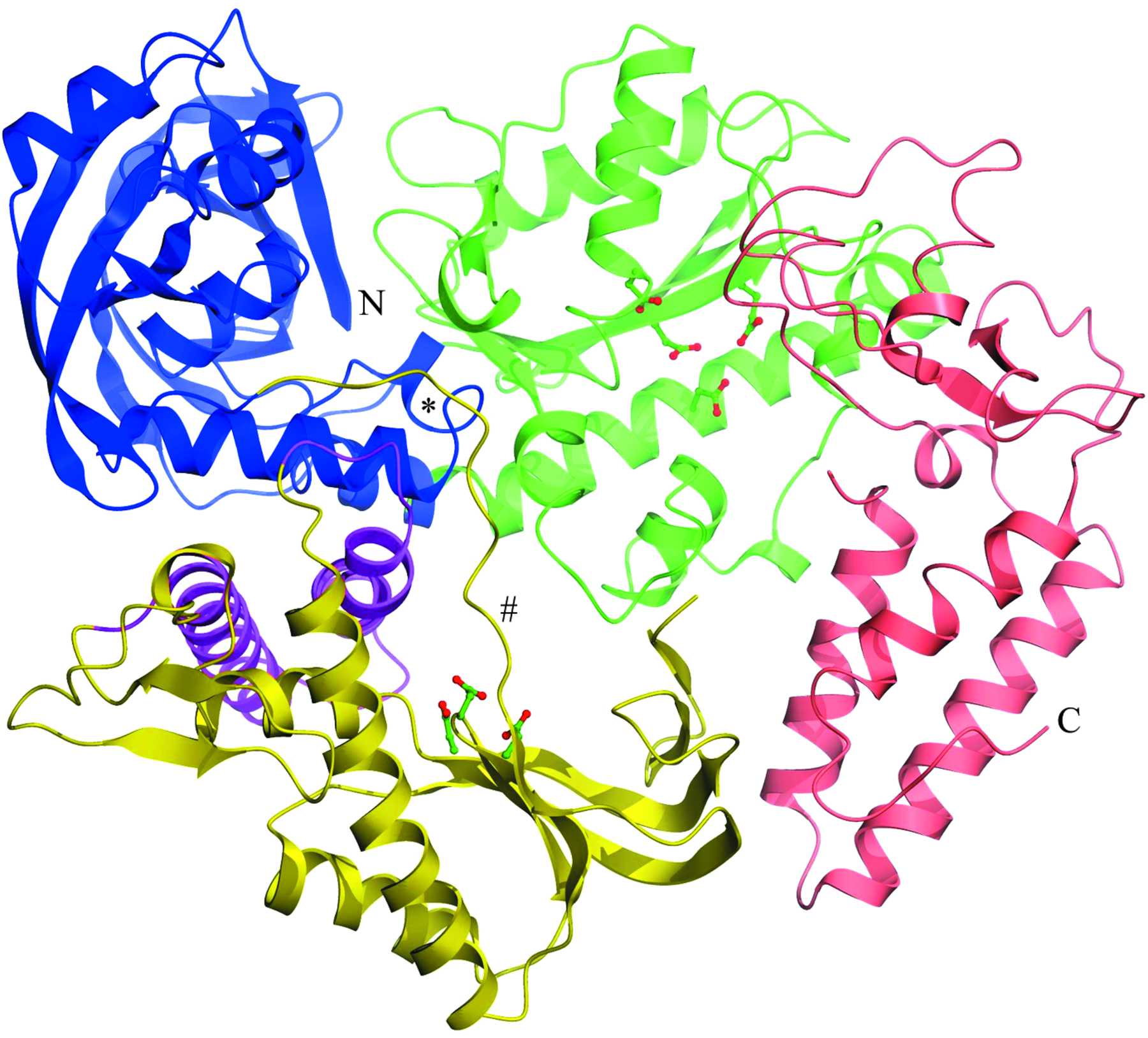 (IUCr) Structure of the family B DNA polymerase from the ...