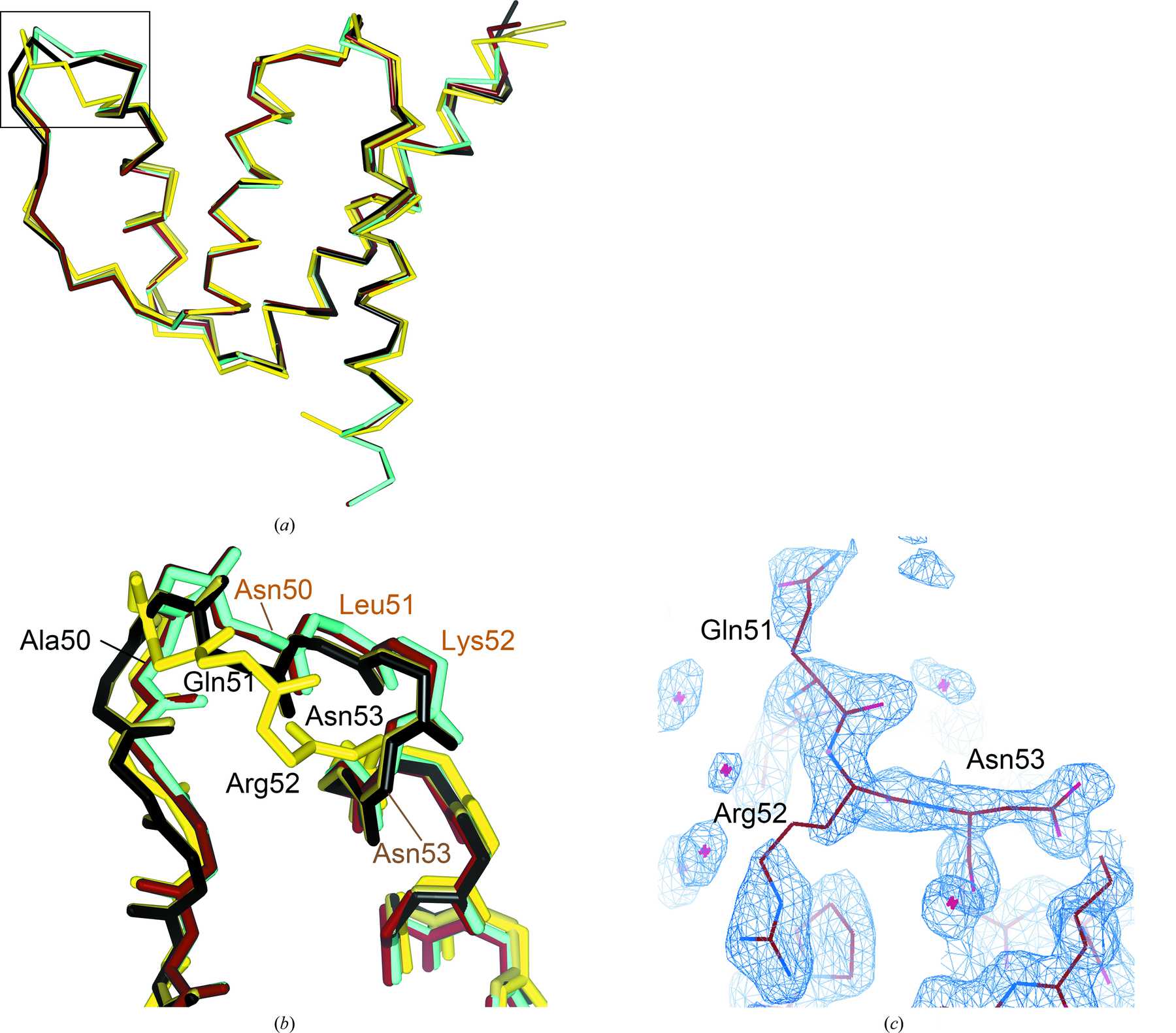 (IUCr) The first plant acyl-CoA-binding protein structures: the close ...