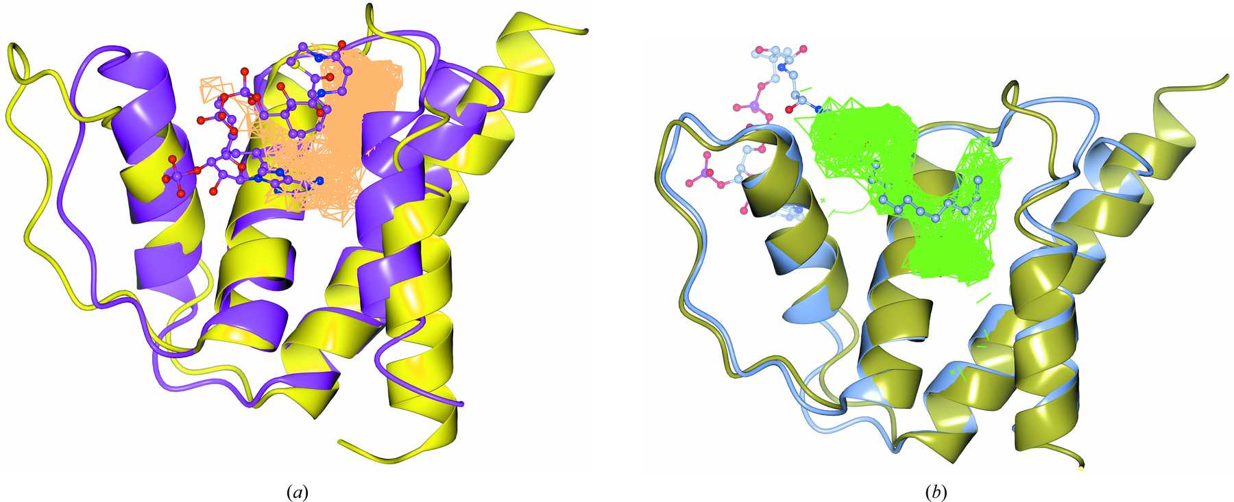 (IUCr) The first plant acyl-CoA-binding protein structures: the close ...