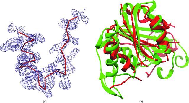 [Figure 1]