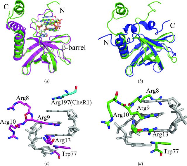 [Figure 4]