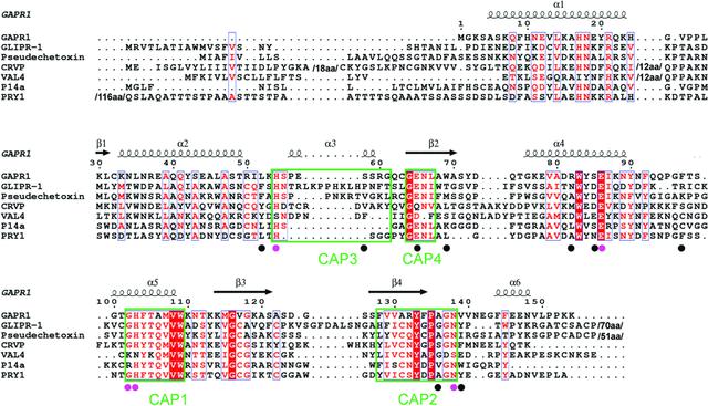 (IUCr) Structural insights into the interaction of the conserved ...
