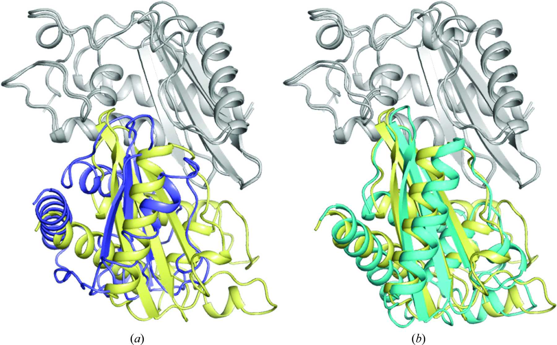 (IUCr) Structural insights into the interaction of the conserved ...