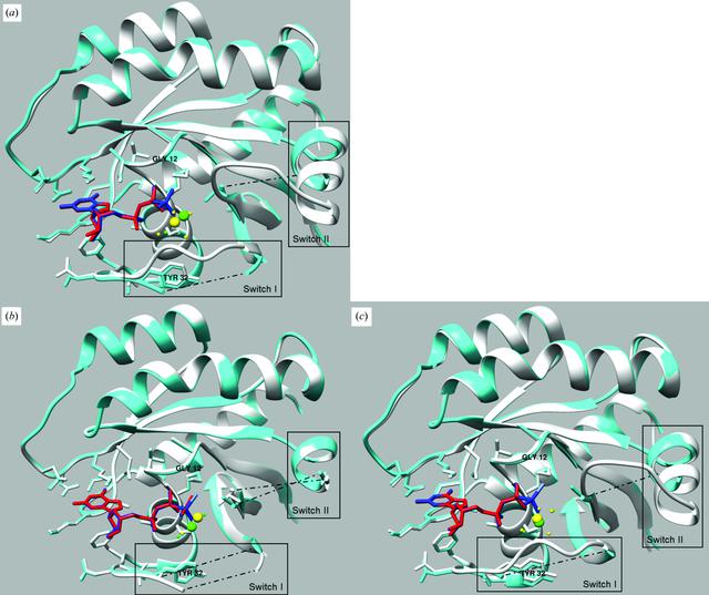 (IUCr) Structural insight into the rearrangement of the switch I region ...