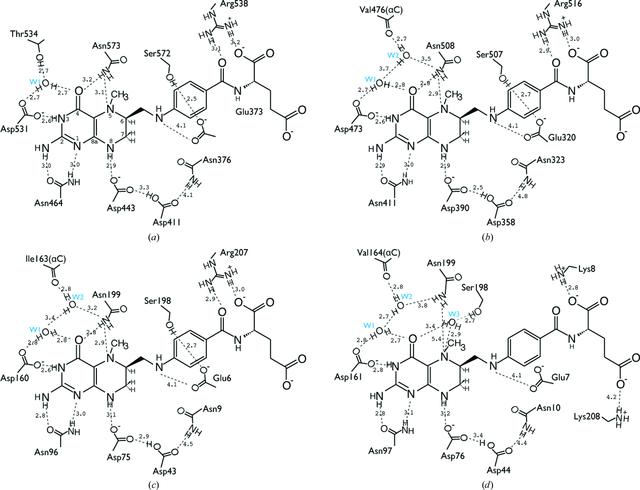 [Figure 5]