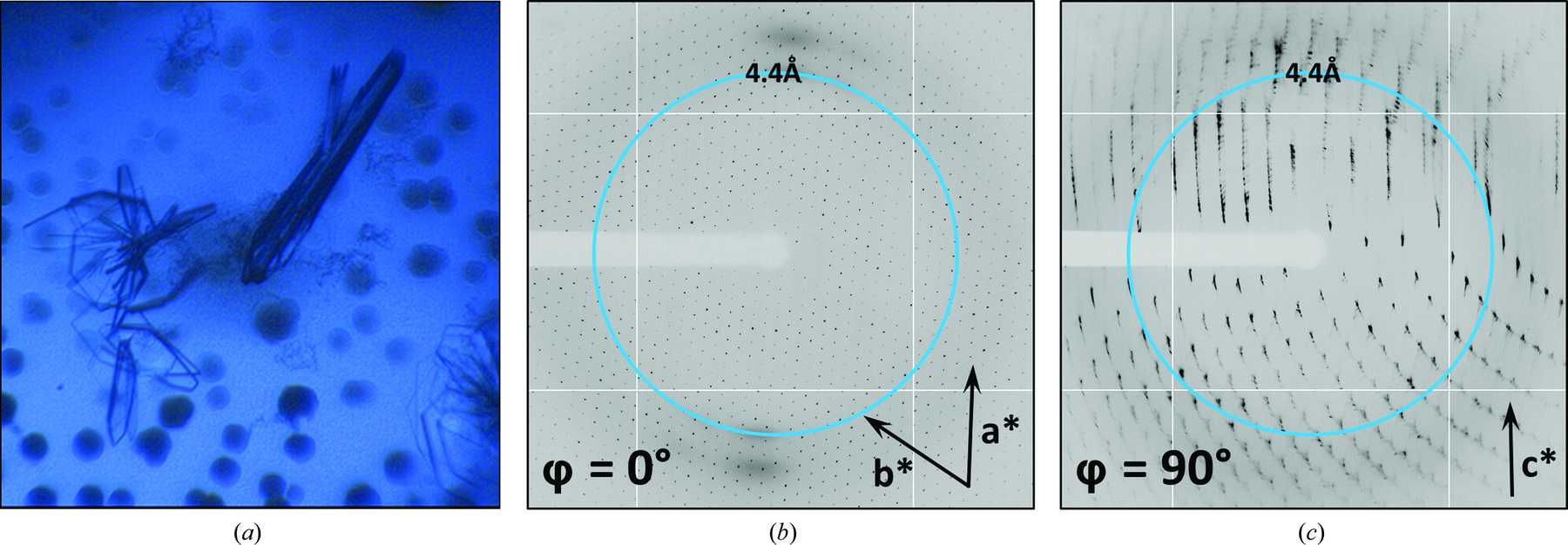 (IUCr) Microfocus diffraction from different regions of a protein ...