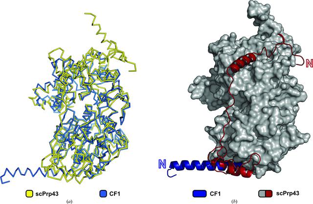 [Figure 2]