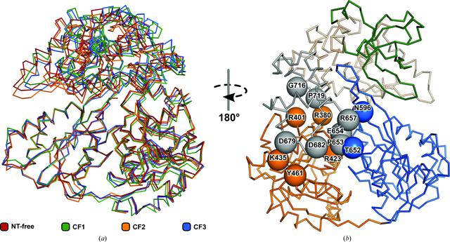 [Figure 3]