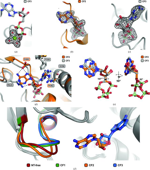 [Figure 5]