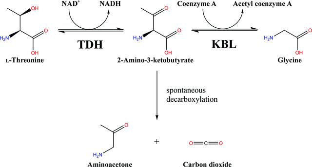 [Figure 1]