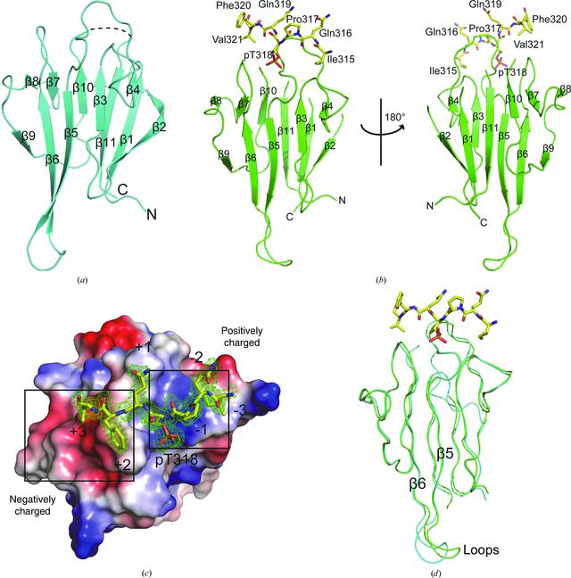 [Figure 2]