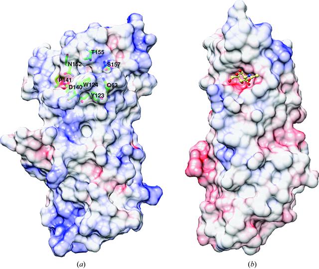 [Figure 4]