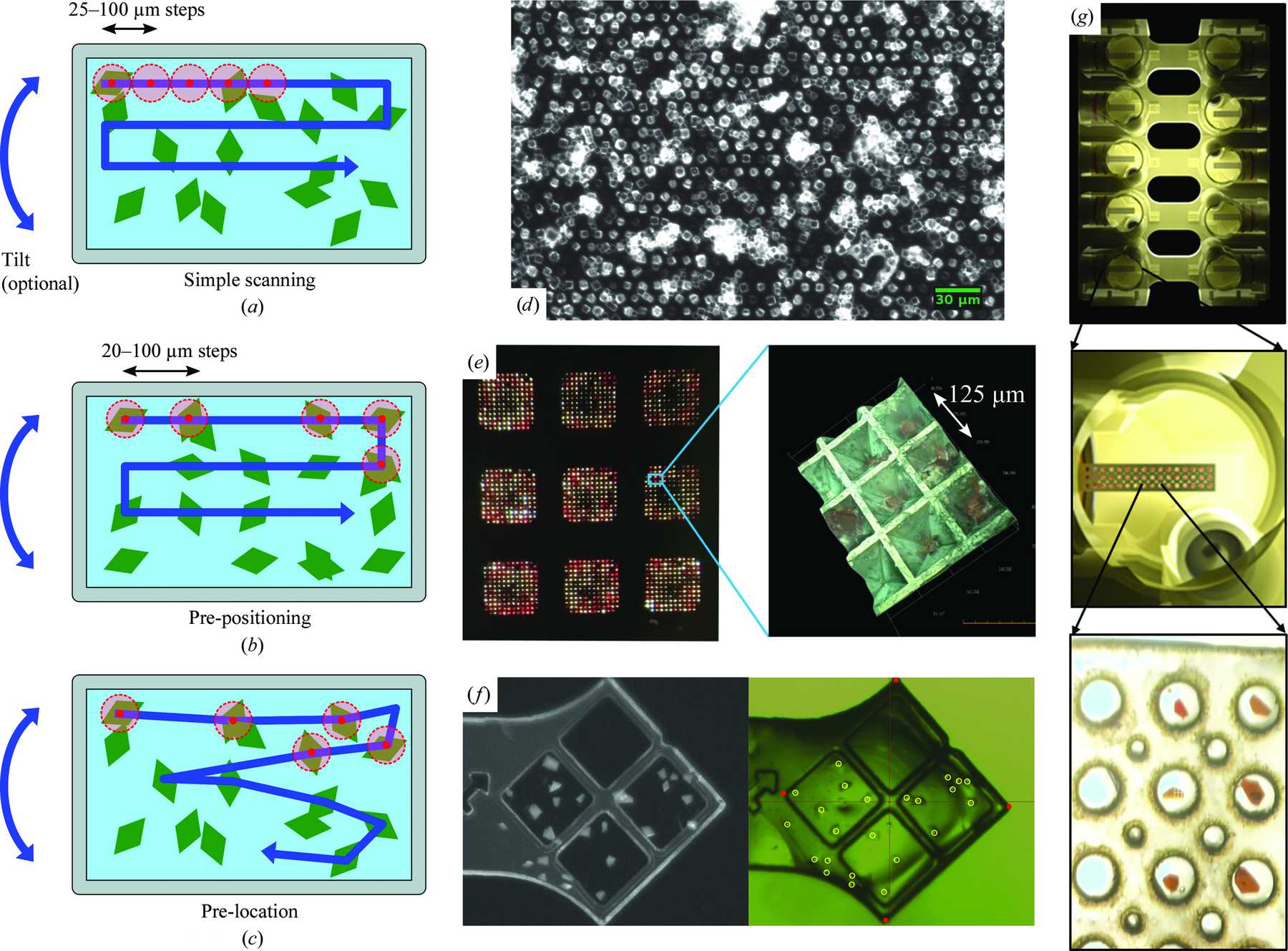 IUCr Strategies For Sample Delivery For Femtosecond Crystallography