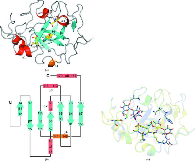 [Figure 1]