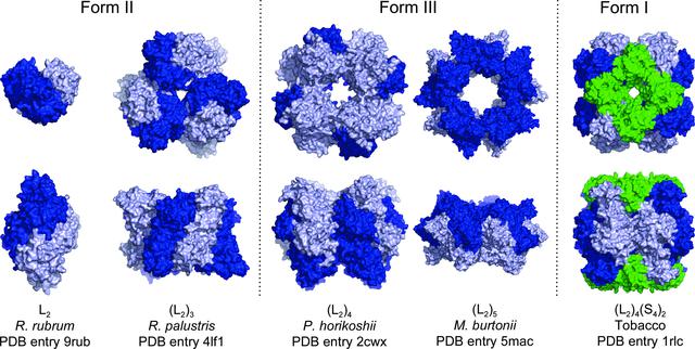 [Figure 1]