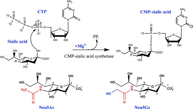 [Figure 1]