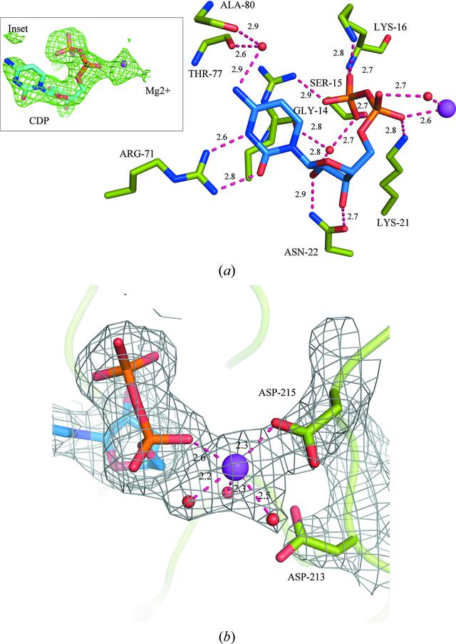 [Figure 3]