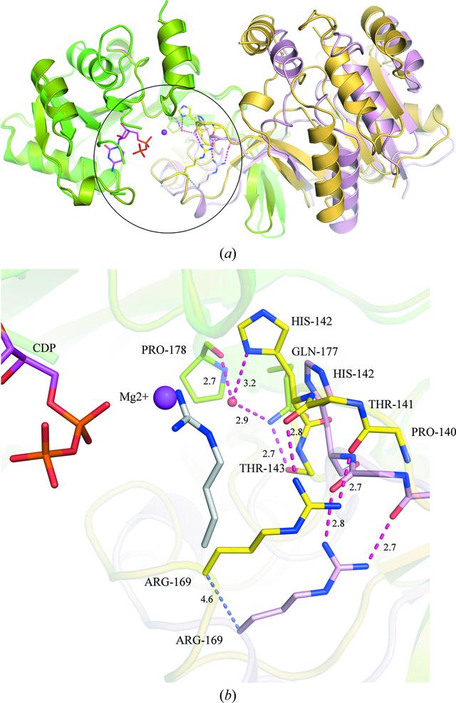 [Figure 4]