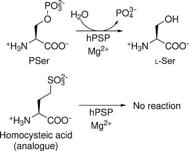 [Figure 1]