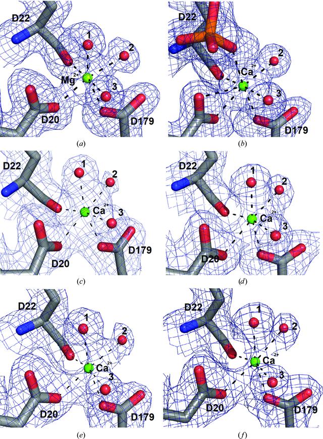 [Figure 4]