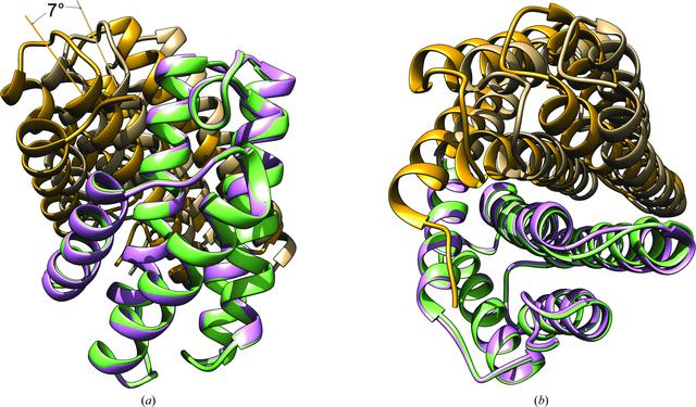 [Figure 2]