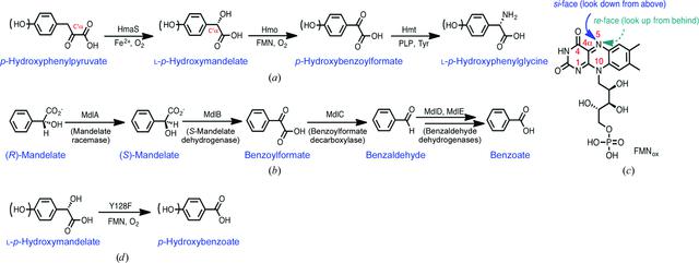 [Figure 1]