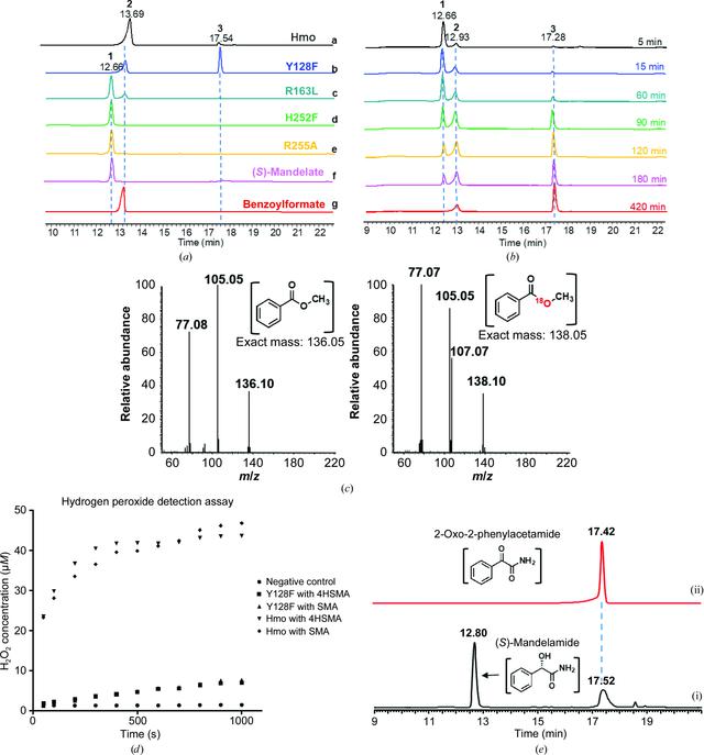 [Figure 2]