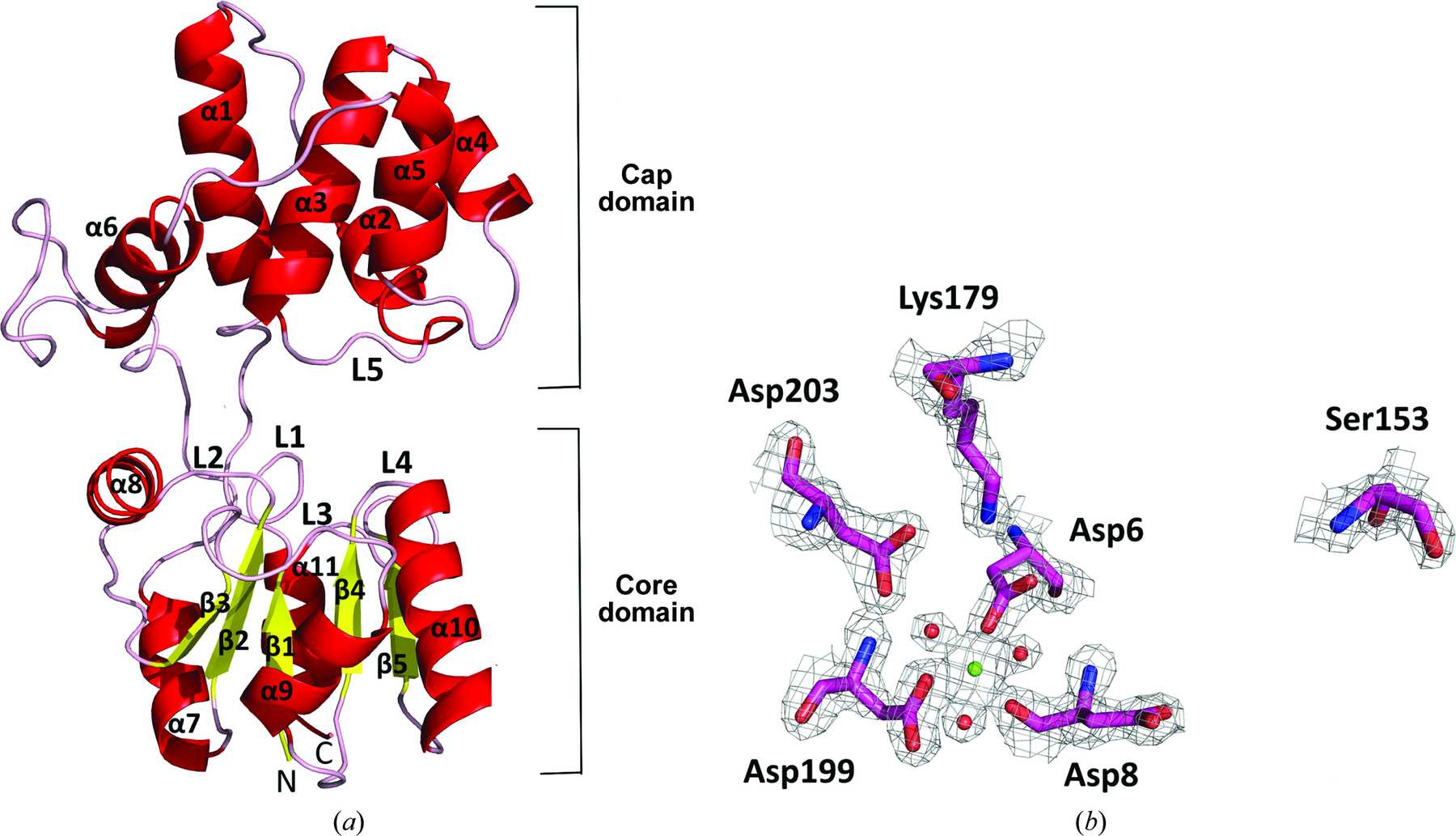 (IUCr) A novel structurally characterized haloacid dehalogenase ...