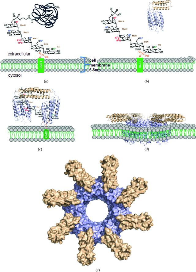 [Figure 6]