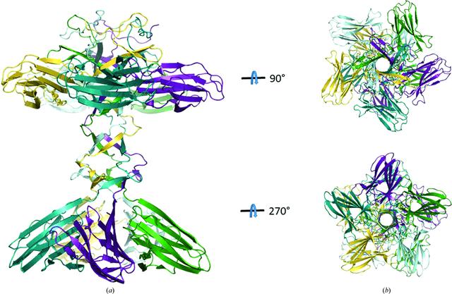 [Figure 3]