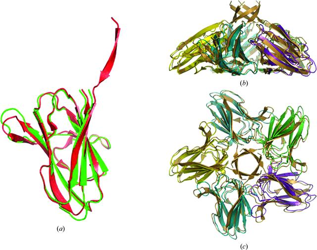 [Figure 7]