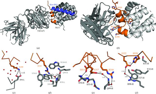 [Figure 3]