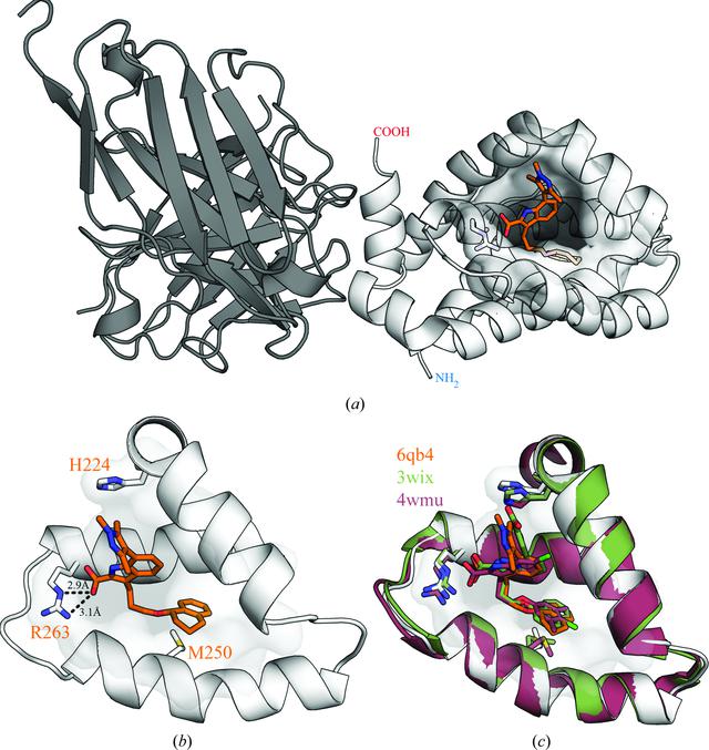 [Figure 4]