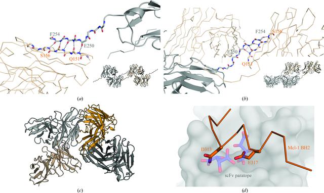 [Figure 7]