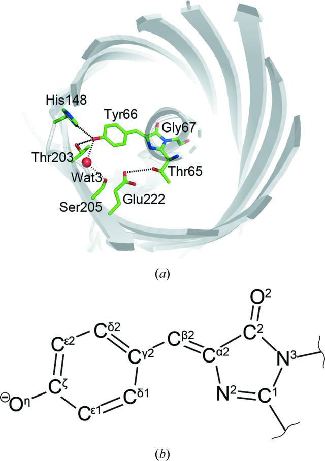 [Figure 1]