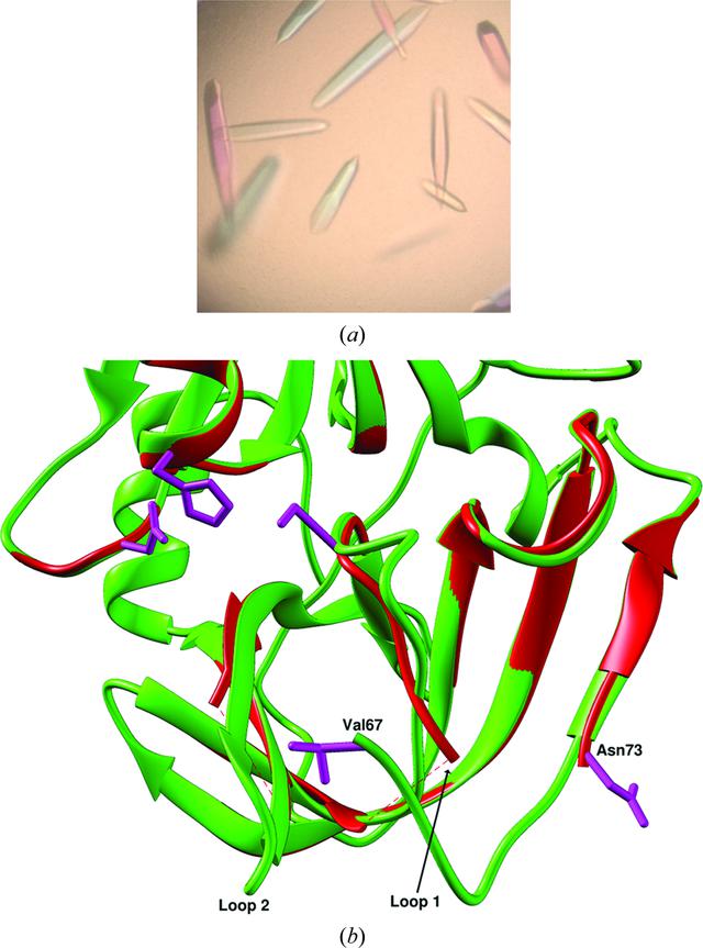 [Figure 4]