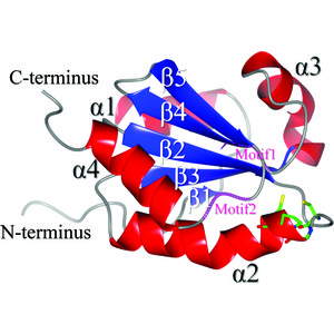 Iucr Catalytic Mechanism And Evolutionary Characteristics Of Thioredoxin From Halobacterium Salinarum Nrc 1