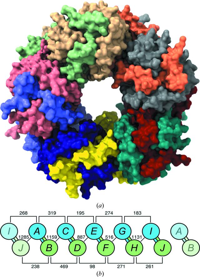 [Figure 4]