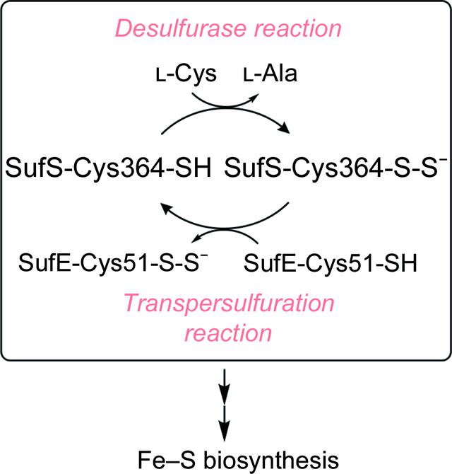 [Figure 1]