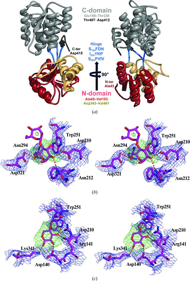 [Figure 1]