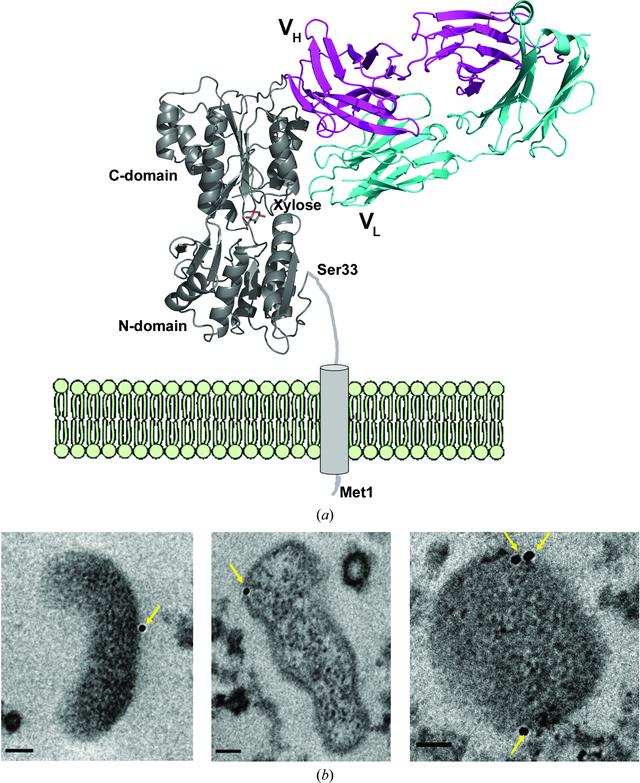 [Figure 3]