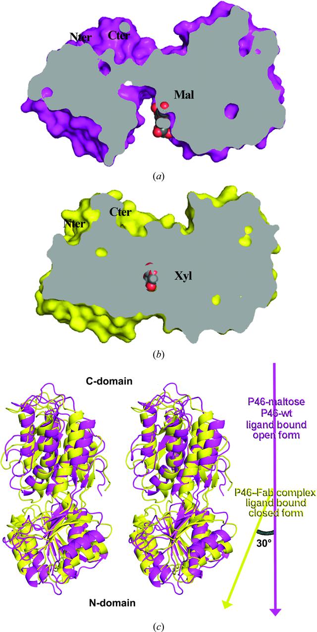 [Figure 4]