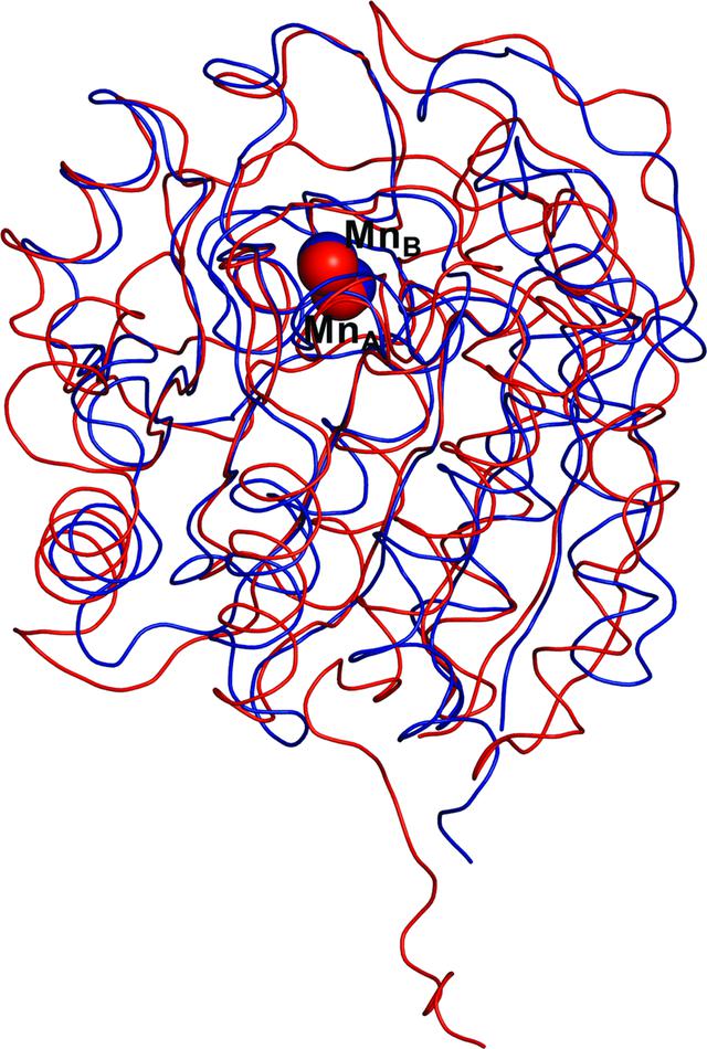 [Figure 3]