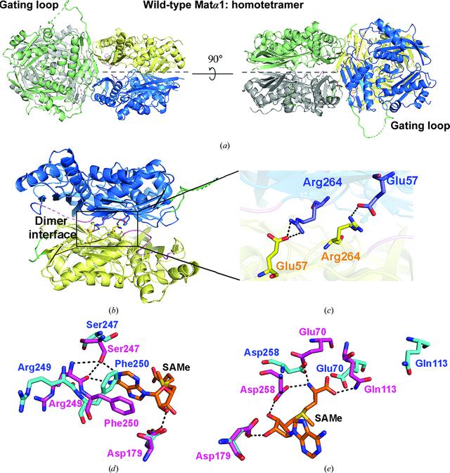 [Figure 1]