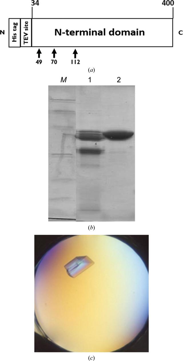 [Figure 3]