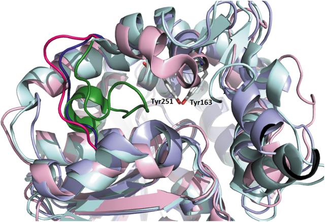 [Figure 5]