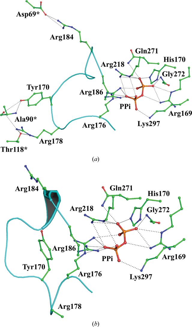 (IUCr) Plasticity, ligand conformation and enzyme action of ...