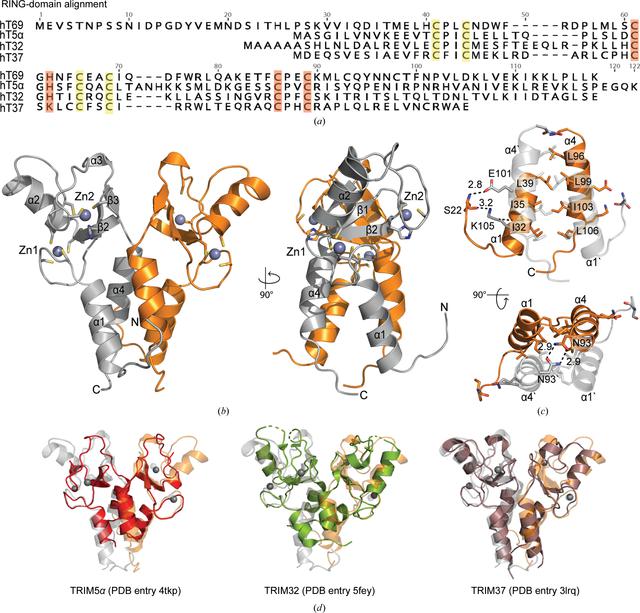 [Figure 2]