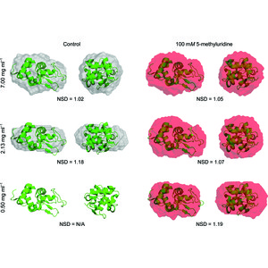 Iucr Improving Data Quality And Expanding Biosaxs Experiments To Low Molecular Weight And Low Concentration Protein Samples