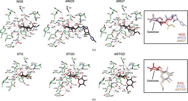 [Figure 4]